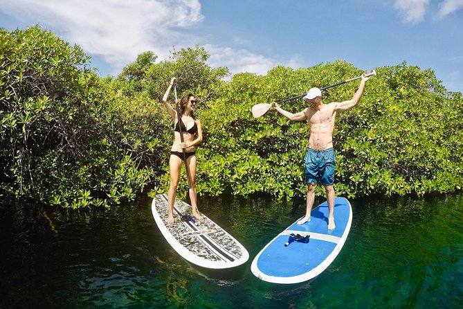 Cenote Paddleboarding and Snorkeling in Tulum - Should You Book the Casa Cenote Paddleboarding Tour?