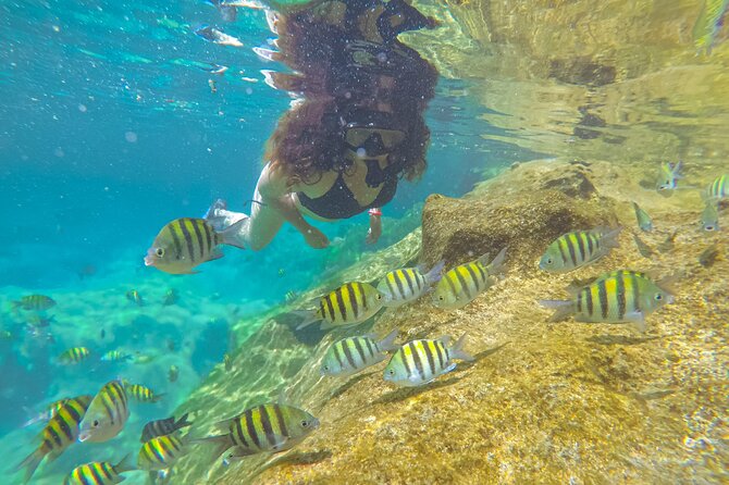 Cenote; Snorkeling and Photos with Colorful Fish - Yal-Ku Lagoon, where cenote water meets the sea