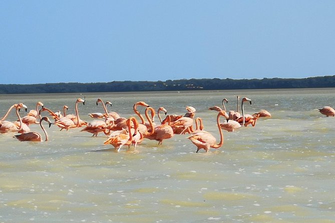 Cenote Suytun & Rio Lagartos & Las Coloradas - The first stop, swimming at Cenote Suytun