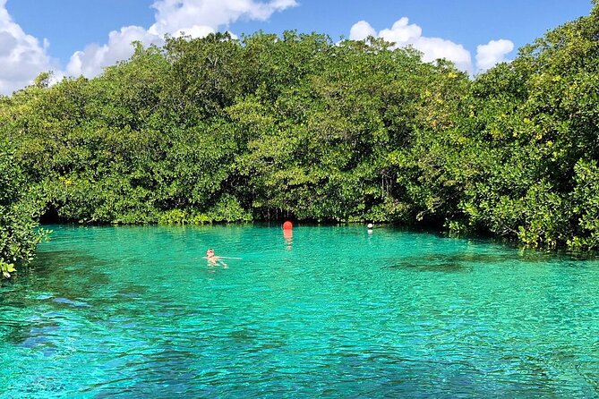 Cenote Triple Adventure Tour in Tulum - Casa Cenote and the jungle swim