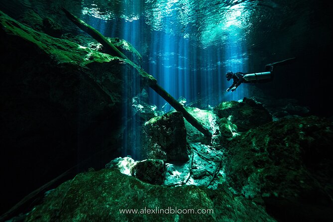 Cenotes 2-Day Scuba Diving Package in the Riviera Maya - Two underwater worlds from a Playa del Carmen base