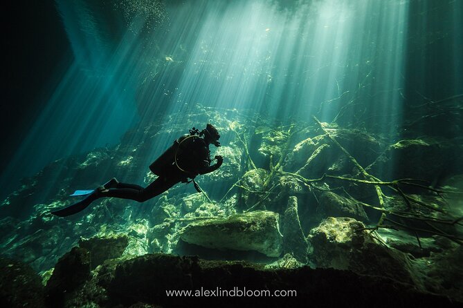 Cenotes 2-Day Scuba Diving Package in the Riviera Maya - Day one: local reefs near Playa del Carmen