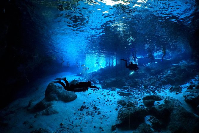 Cenotes 2-Tank Dive in Playa del Carmen/for certified divers only - What happens beneath the surface