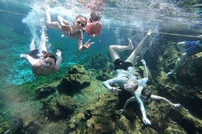 Cenotes by Bike and Mayan Cooking Class Half-Day Guided Tour - The value of a $59.78 half-day
