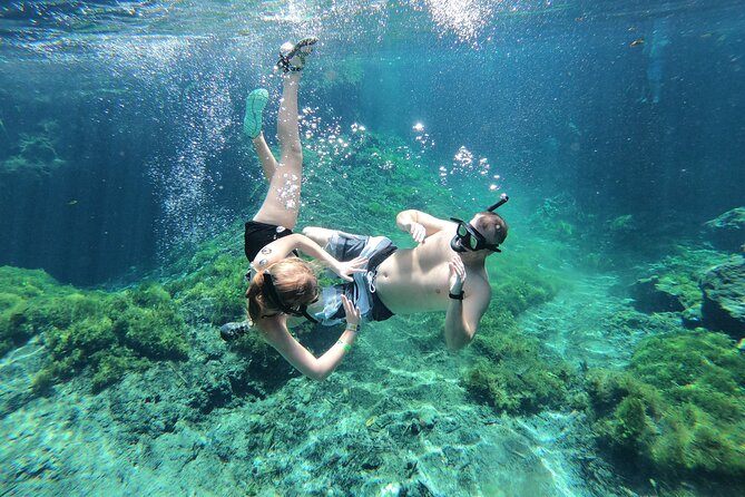 Cenotes by Bike and Mayan Cooking Class Half-Day Guided Tour - Finishing at Cenote Xunaan Ha