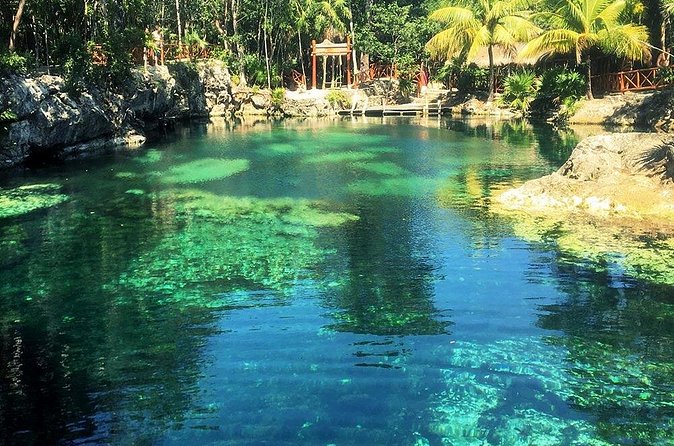 Cenotes Casa Tortuga: 4 Cenotes Day Pass - Swimming, snorkeling, kayaking, and zip-lines