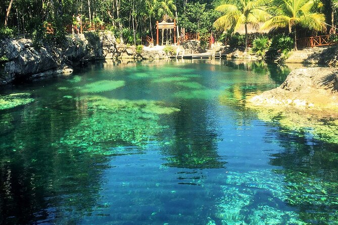 Cenotes Casa Tortuga: 4 Cenotes Day Pass - Food, lockers, towels, and photo costs