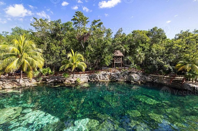 Cenotes Casa Tortuga: 4 Cenotes Day Pass - Who will enjoy Casa Tortuga most?