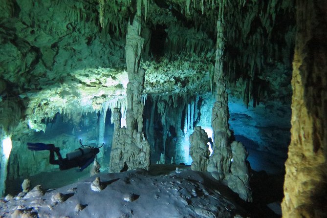 Cenotes diving Dos Ojos and The Bat Cave - The Bat Cave Line: darkness, tunnels, and bats