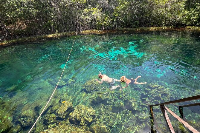 Cenotes Private Tour ( Two Eyes, Jaguar & Nicte-Ha ) - Dos Ojos: the dramatic finale
