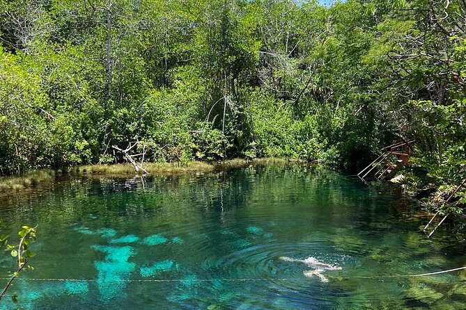 Cenotes Private Tour ( Two Eyes, Jaguar & Nicte-Ha ) - What the $178.71 price really buys