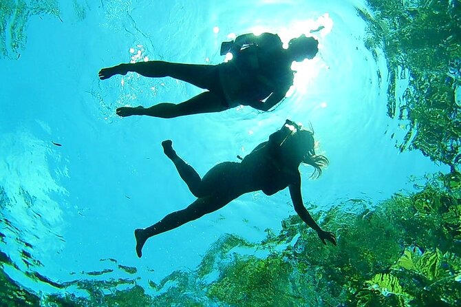 Cenotes Private Tour VIP - Three Cenotes, Three Different Ways to Experience Water