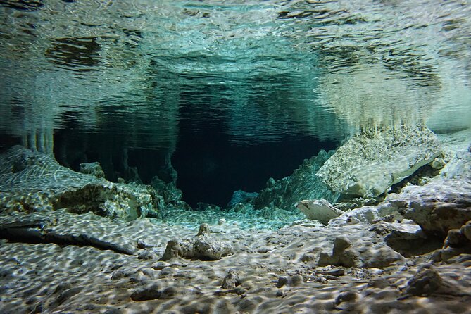 Cenotes Private Tour VIP - Why a Private Tour Changes the Day