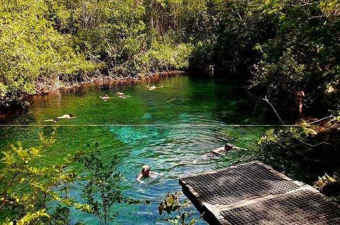 Cenotes Sacactum, Private tour. - Pickup from Playa del Carmen and the four-hour schedule