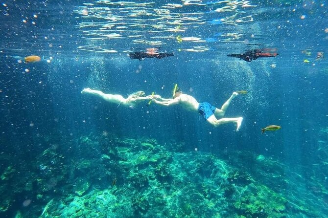 Cenotes Sacactum, Private tour. - Who will enjoy this most