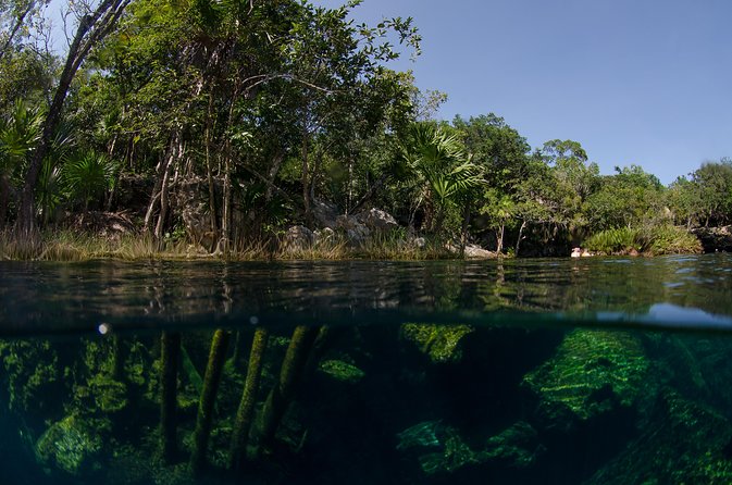 Cenotes snorkeling excursion - The guide makes the difference