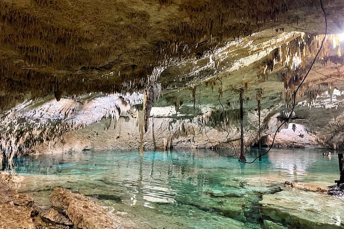 Cenotes Taak Bi Ha & Nicte Ha – VIP Snorkeling Private Tour - Nicte Ha: an easy start with fish and lily flowers