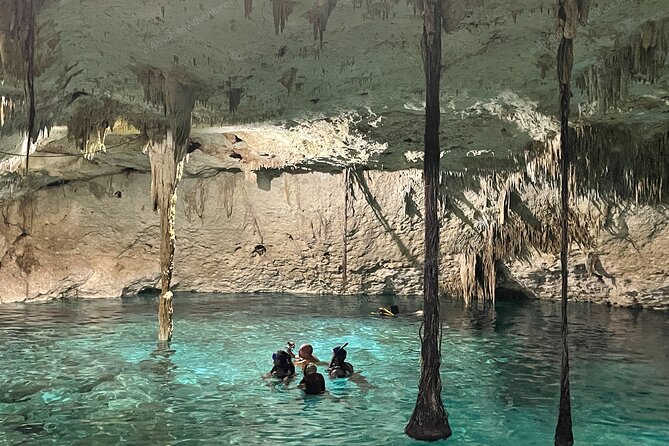 Cenotes Taak Bi Ha & Nicte Ha – VIP Snorkeling Private Tour - Equipment, drinks, and the jungle lunch