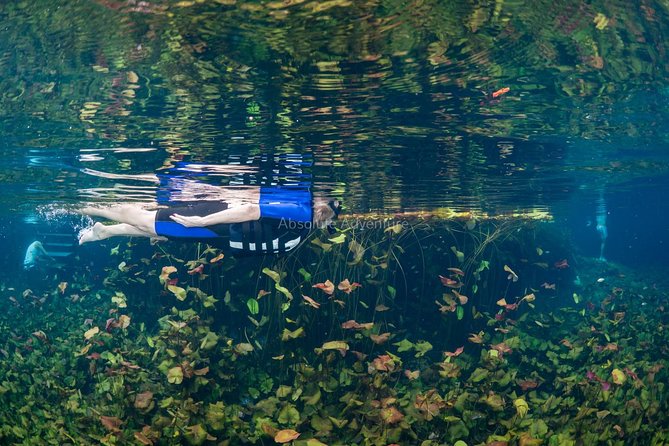 Cenotes Taak Bi Ha & Nicte Ha – VIP Snorkeling Private Tour - Price, value, and the small print