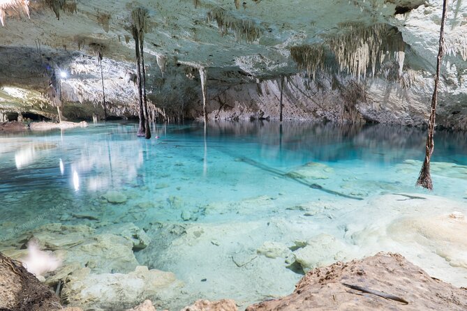 Cenotes Taak Bi Ha & Nicte Ha – VIP Snorkeling Private Tour - Why the private format is worth considering