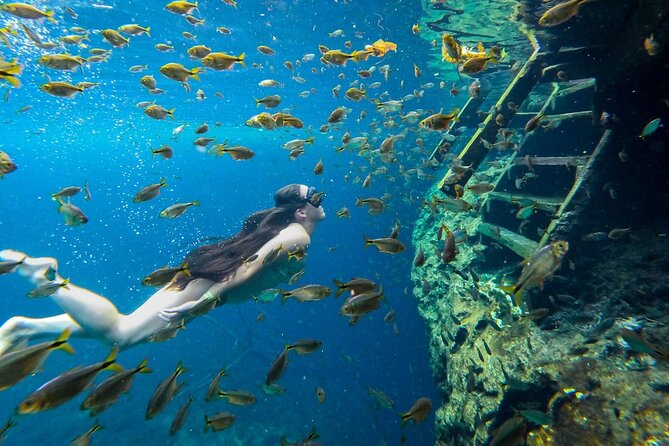 Cenotes Tour: Discover Hidden Gems, from Playa del Carmen - Sombra: the cave stop that needs a warning