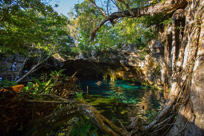 Cenotes trail jungle bike tour in Tulum with lunch - Three cenotes with ziplines and a canoe