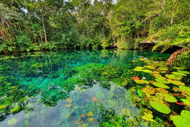 Cenotes trail jungle bike tour in Tulum with lunch - The bikes, trail, and effort level