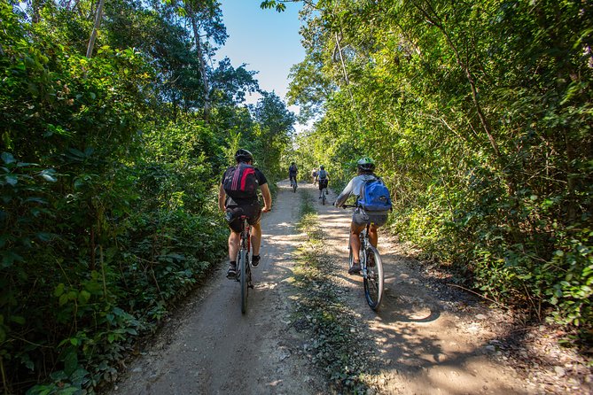 Cenotes trail jungle bike tour in Tulum with lunch - What the lunch is really worth