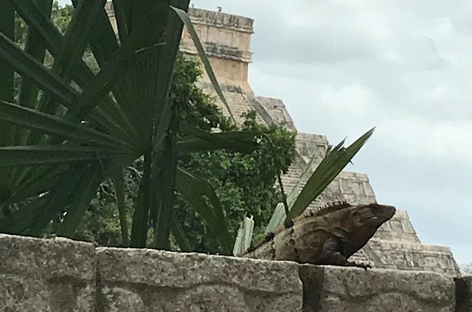 Chichen Itza Private experience - The guide can make or break the day