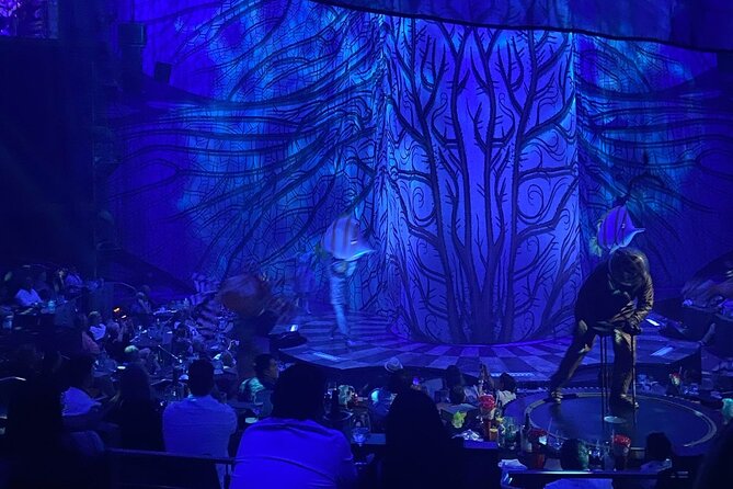 Cirque du Soleil JOYÀ in Vidanta Riviera Maya - How the three-hour visit is likely to unfold