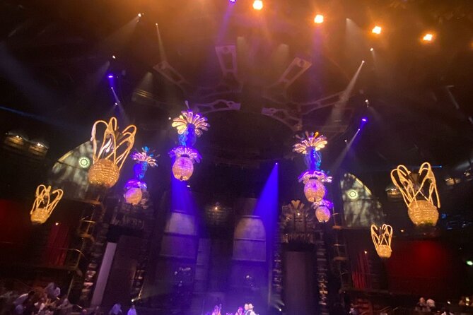 Cirque du Soleil JOYÀ in Vidanta Riviera Maya - Who will get the most from JOYÀ?