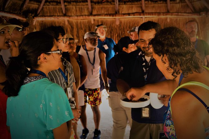 Coba and Tulum, cenote swim and buffet lunch - Pickup, transfers, and the risk of a muddled start