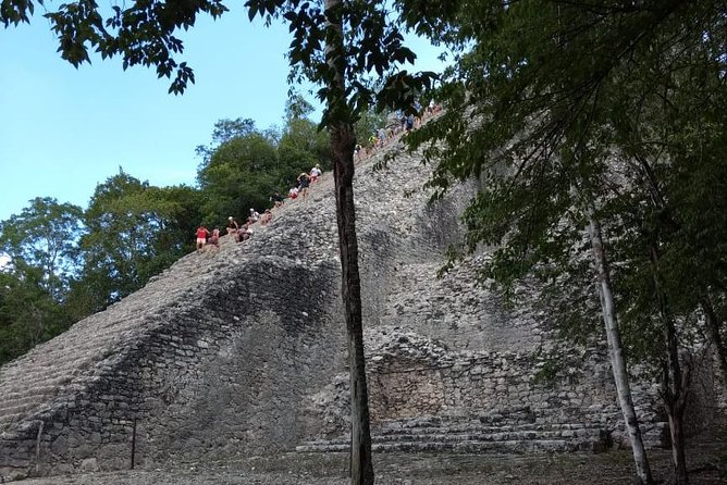 Coba Cenote and Maya Village Private Guided Tour - Cenote Multum Ha and the one-hour swim