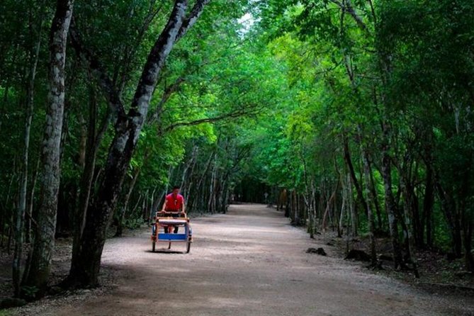 Coba Mayan Ruins and Cenote Cultural Full-Day Tour from Riviera Maya - Who should book this Coba day trip?