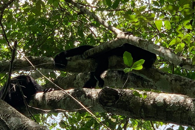 Coba Ruins and Punta Laguna Monkey Reserve Day Tour from Tulum - A Maya ceremony at Punta Laguna