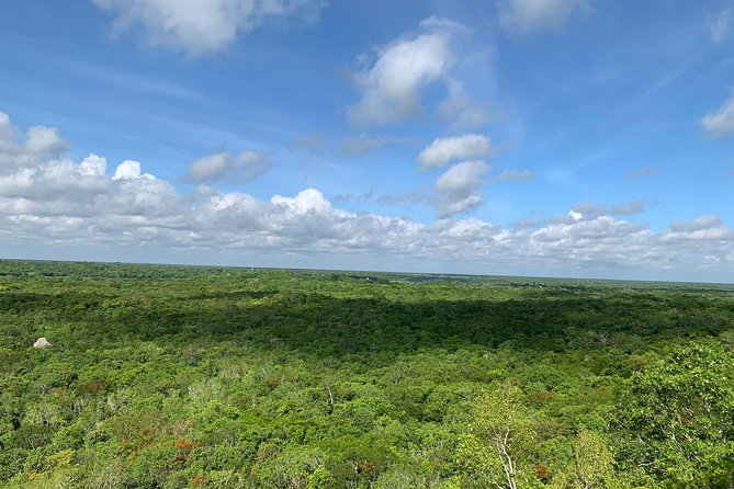 Coba Ruins and Punta Laguna Monkey Reserve Day Tour from Tulum - Rappelling into a limestone cenote