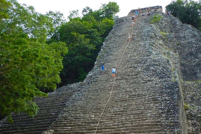 Coba Ruins and Punta Laguna Monkey Reserve Day Tour from Tulum - The ride from Tulum to Coba