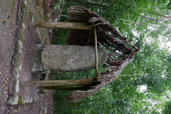 Cobá Ruins Mayan Village and Cenote Tour from Riviera Maya - Who should book this Cobá and cenote day
