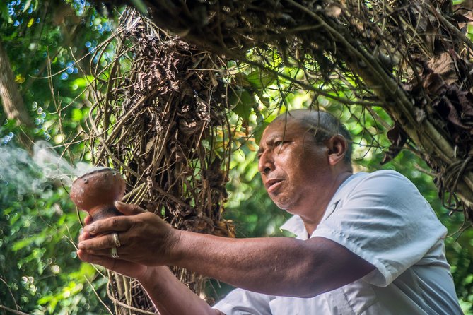 Coba Ruins, Punta Laguna Nature Reserve, Cenote and Mayan family - The cenote finish