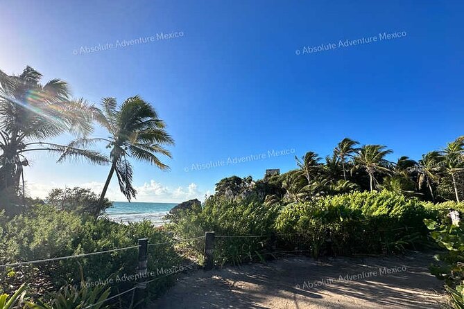 Coba & Tulum – Private Mayan Ruins Tour with Certified Guide - Should you book the Tulum and Coba private tour?