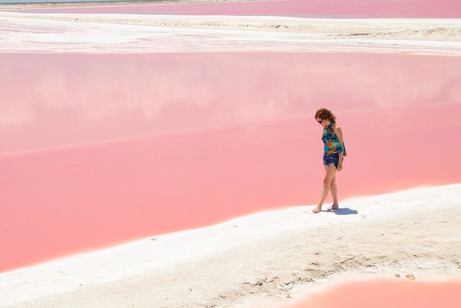 Coloradas Pink Lagoon Adventure from Playa del Carmen and Riviera Maya - Rio Lagartos and its pelican-filled reserve