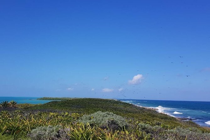 Contoy Island - Is $176 a fair price?