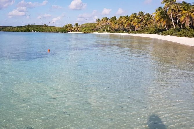 Contoy Island - Pickup needs careful checking