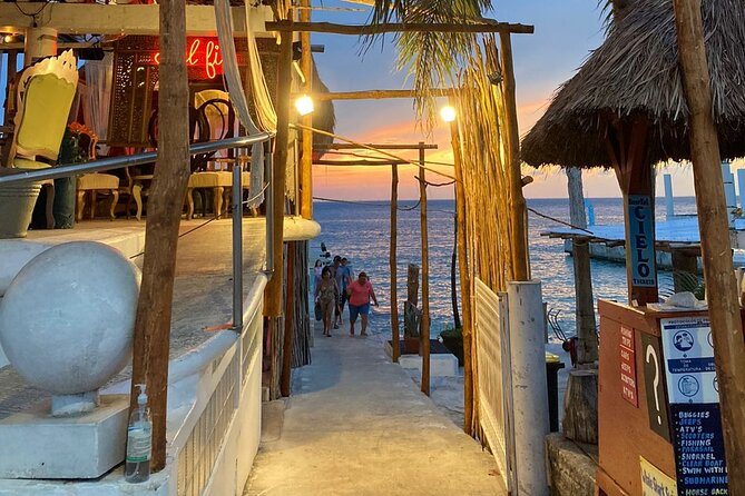Cozumel El Cielo Tour by Boat from Playa del Carmen & Transfer - El Cielito, lunch, and manta rays
