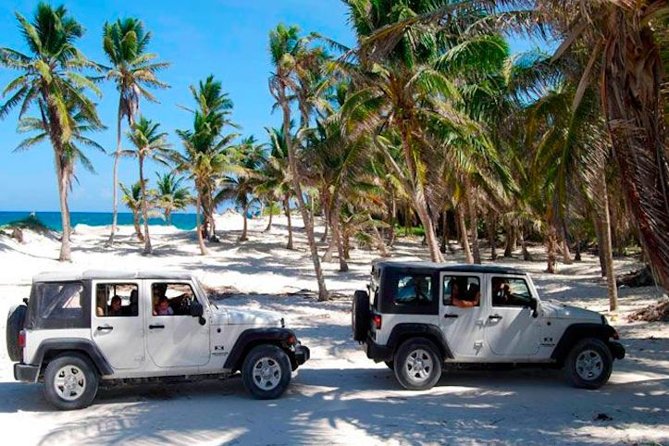 Cozumel Jeep Tour from Cancun and Riviera Maya - Snorkeling in Cozumel’s reef waters