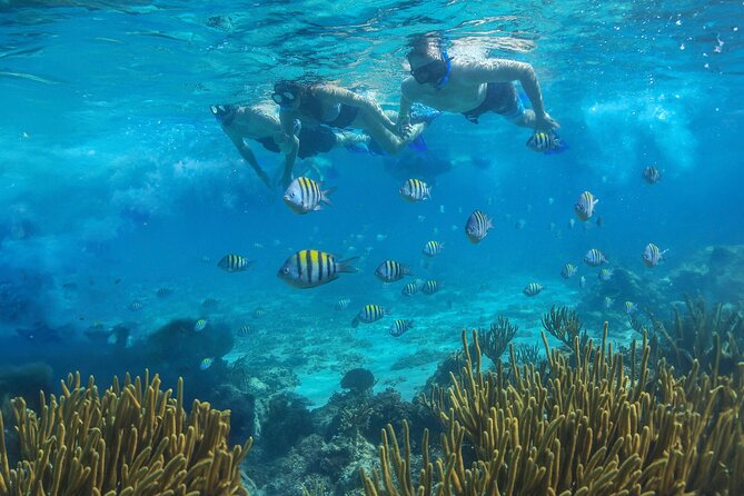 Cozumel Luxury Sailing & Snorkeling with Lunch and Open Bar Onboard - How much time do you get on Cozumel itself?