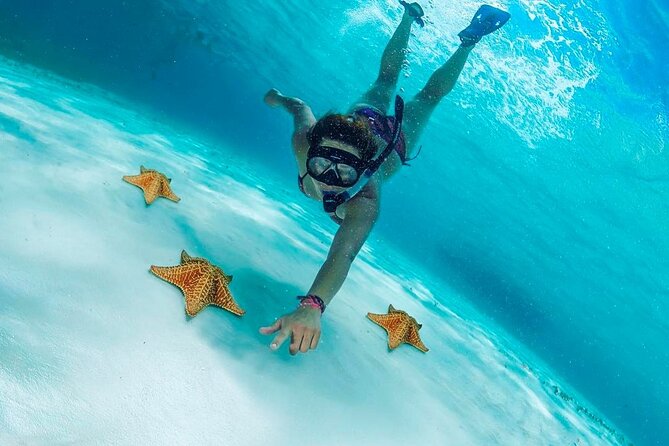 Cozumel Snorkel at El Cielo & 2 Reefs! Transportation from Tulum - El Cielo and two Cozumel reefs in one day
