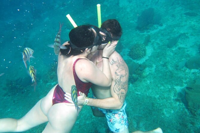 Cozumel Snorkel at El Cielo & 2 Reefs! Transportation from Tulum - What to expect at El Cielo