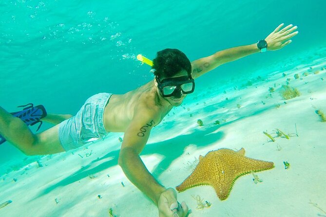 Cozumel Snorkel at El Cielo & 2 Reefs! Transportation from Tulum - Palancar and Columbia reefs