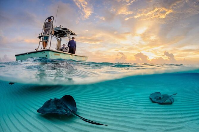 Cozumel Snorkel at El Cielo & 2 Reefs! Transportation from Tulum - Is $175 a fair price?